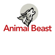 Animal Beast