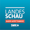 What could SWR Landesschau Baden-Württemberg buy with $593.27 thousand?