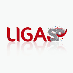 Liga Carnaval SP - Oficial net worth