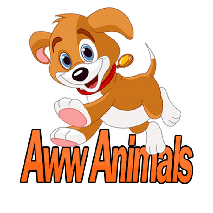 Aww Animals Net Worth & Earnings (2025)