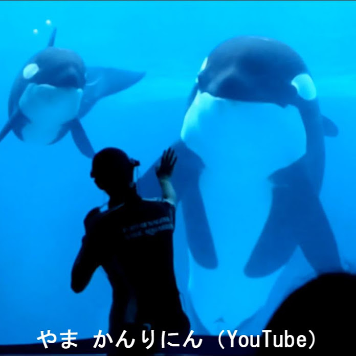 やまかんりにん Net Worth & Earnings (2026)