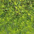 @user-dq2mv7vv6q