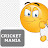 @cricketmania90