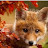 @Nick-fq9uc