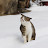 @user-gb6lq9rw2f