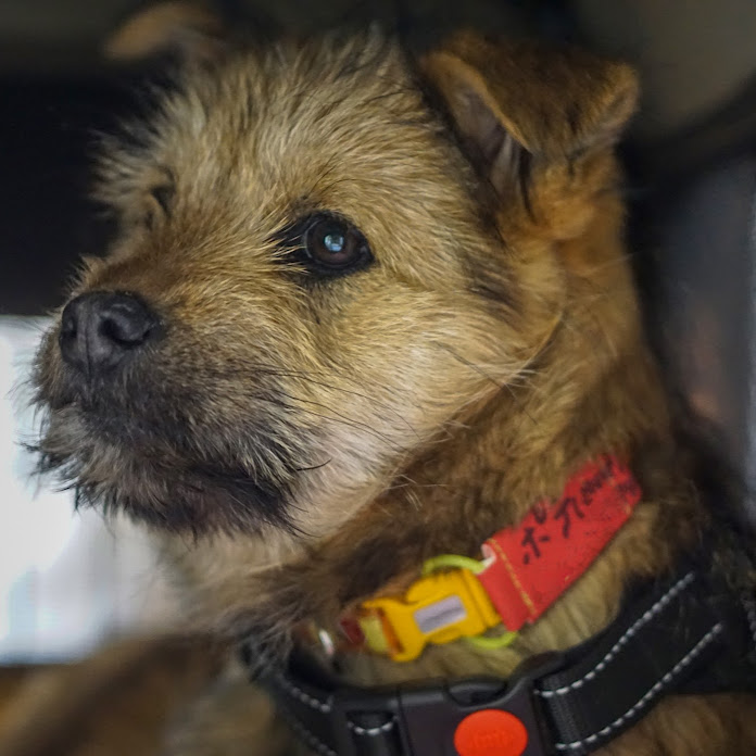 ベーコン家のポテとひだり Net Worth & Earnings (2026)