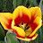 @user-kg3sj9sw7g