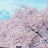 @user-uk1jf5jw8m