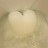@user-gj5mo9oe2n