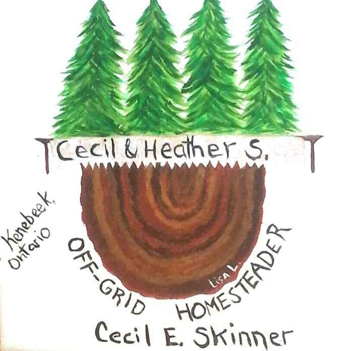 Off Grid Homesteading With The Skinners Net Worth & Earnings (2024)