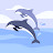@user-jp9jm2tf7n