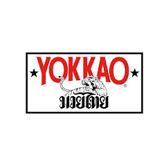 YOKKAO net worth