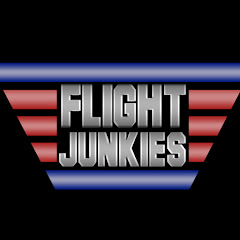 FlightJunkies net worth