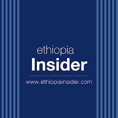 Ethiopia Insider net worth