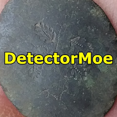 DetectorMoe net worth