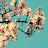 @solhan-dickinson7041