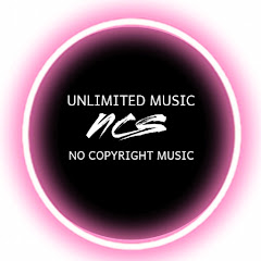 NoCopyrightMusic net worth