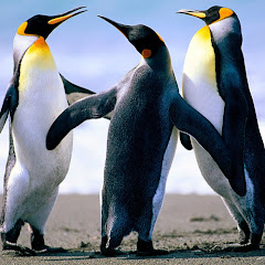 Thumbnail of related channel