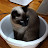 @user-tc7ue6cq7c