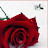 @lalainajulicharline4915 Avatar