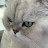 @user-jj9db9gj5s