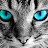 @galaxyJ-dh5iv Avatar