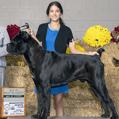 Thumbnail of related channel