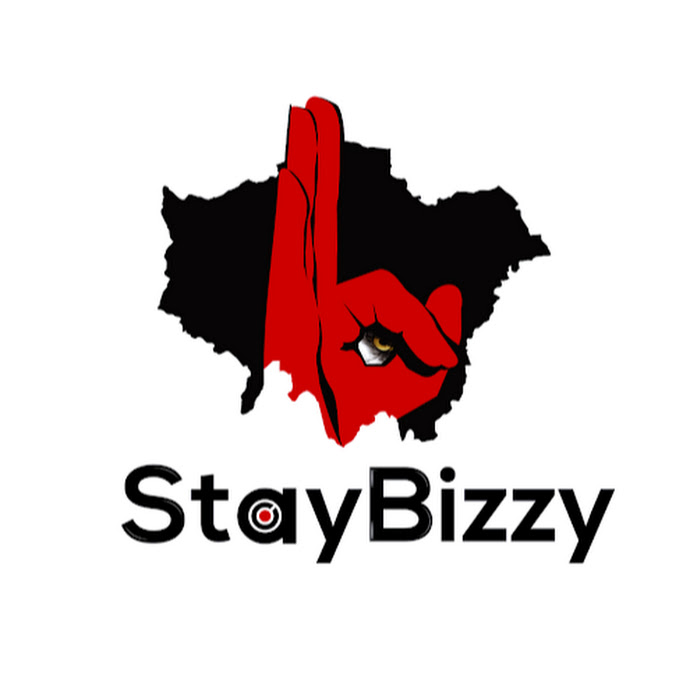 StayBizzy Net Worth & Earnings (2024)