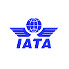 What could IATAtv buy with $100 thousand?