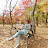 @user-sh1he5gq3i
