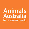 What could Animals Australia buy with $100 thousand?