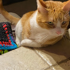 Thumbnail of related channel