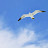 @user-vc8rf2li4n