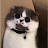 @user-ly6uv6cb3e