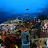 @user-pb1bh1vc9i