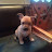 @user-gf5cd9qm7f