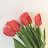 @user-ff7qp8qe4n