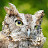@serenemachine9110 Avatar