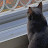 @user-xu8fl1wt2z