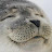 @user-tl8ll1il8c