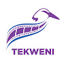 What could Tekweni buy with $100 thousand?