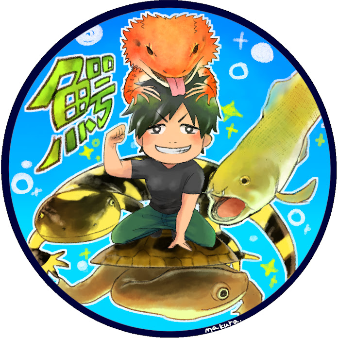 ちゃんねる鰐 Net Worth & Earnings (2026)