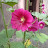 @dipanwitaroy4959 Avatar