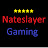 @nateslayergaming9255