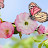 @user-fw6of8vx8y