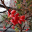 @user-dp3vf4in3v