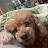 @user-iy4pp4gb8c