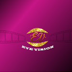 EYE Vision Net Worth