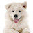 @user-yy7vm5vb4g