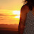 @raising_arizona Avatar